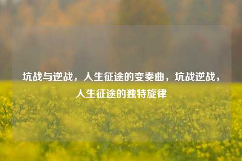 坑战与逆战，人生征途的变奏曲，坑战逆战，人生征途的独特旋律