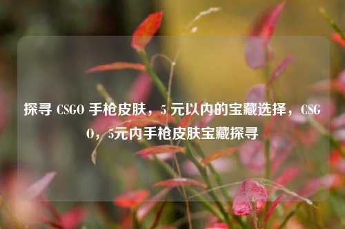 探寻 CSGO 手枪皮肤，5 元以内的宝藏选择，CSGO，5元内手枪皮肤宝藏探寻