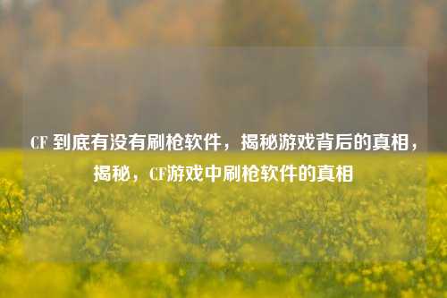 CF 到底有没有刷枪软件,揭秘游戏背后的真相,揭秘,CF游戏中刷枪软件的真相