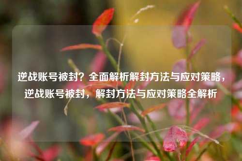 逆战账号被封？全面解析解封方法与应对策略，逆战账号被封，解封方法与应对策略全解析