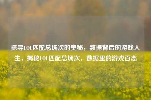 探寻LOL匹配总场次的奥秘，数据背后的游戏人生，揭秘LOL匹配总场次，数据里的游戏百态