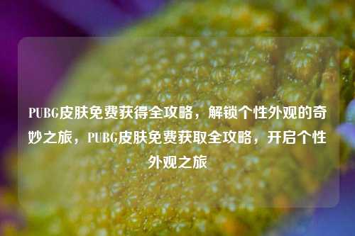 PUBG皮肤免费获得全攻略，解锁个性外观的奇妙之旅，PUBG皮肤免费获取全攻略，开启个性外观之旅