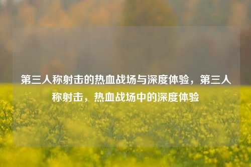 第三人称射击的热血战场与深度体验，第三人称射击，热血战场中的深度体验