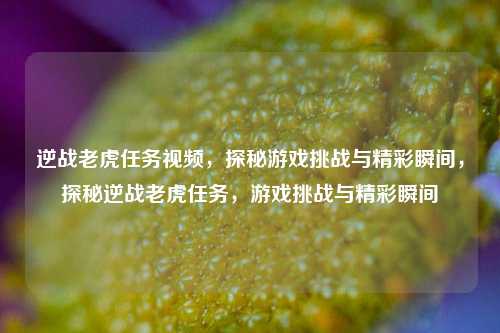 逆战老虎任务视频，探秘游戏挑战与精彩瞬间，探秘逆战老虎任务，游戏挑战与精彩瞬间