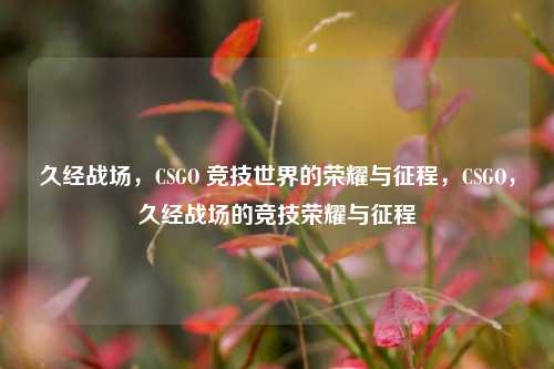 久经战场,CSGO 竞技世界的荣耀与征程,CSGO,久经战场的竞技荣耀与征程