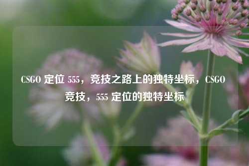 CSGO 定位 555,竞技之路上的独特坐标,CSGO 竞技,555 定位的独特坐标
