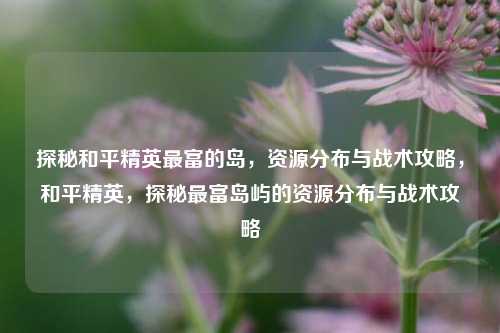 探秘和平精英最富的岛，资源分布与战术攻略，和平精英，探秘最富岛屿的资源分布与战术攻略