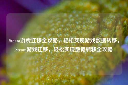 Steam游戏迁移全攻略，轻松实现游戏数据转移，Steam游戏迁移，轻松实现数据转移全攻略