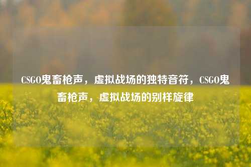 CSGO鬼畜枪声，虚拟战场的独特音符，CSGO鬼畜枪声，虚拟战场的别样旋律