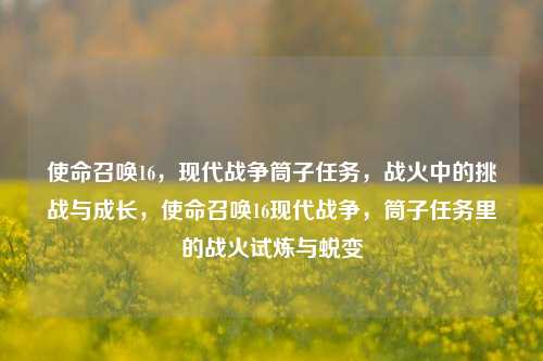 使命召唤16，现代战争筒子任务，战火中的挑战与成长，使命召唤16现代战争，筒子任务里的战火试炼与蜕变