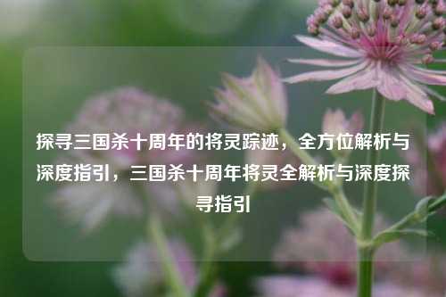 探寻三国杀十周年的将灵踪迹，全方位解析与深度指引，三国杀十周年将灵全解析与深度探寻指引