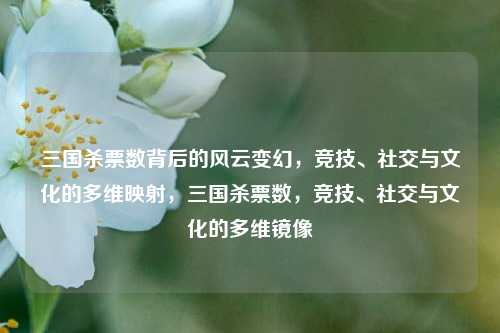 三国杀票数背后的风云变幻，竞技、社交与文化的多维映射，三国杀票数，竞技、社交与文化的多维镜像
