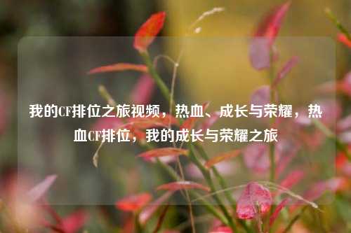 我的CF排位之旅视频，热血、成长与荣耀，热血CF排位，我的成长与荣耀之旅