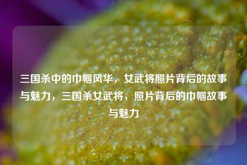 三国杀中的巾帼风华，女武将照片背后的故事与魅力，三国杀女武将，照片背后的巾帼故事与魅力