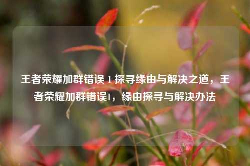 王者荣耀加群错误 1 探寻缘由与解决之道，王者荣耀加群错误1，缘由探寻与解决办法