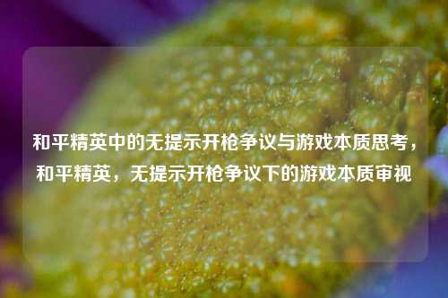 和平精英中的无提示开枪争议与游戏本质思考,和平精英,无提示开枪争议下的游戏本质审视