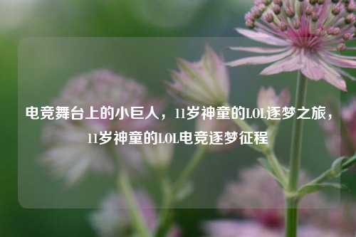电竞舞台上的小巨人，11岁神童的LOL逐梦之旅，11岁神童的LOL电竞逐梦征程