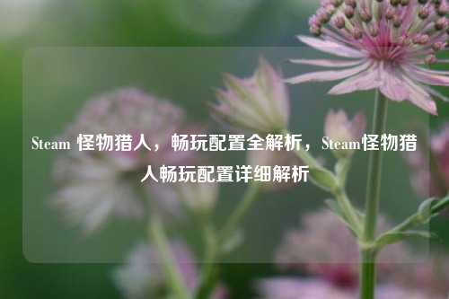 Steam 怪物猎人,畅玩配置全解析,Steam怪物猎人畅玩配置详细解析