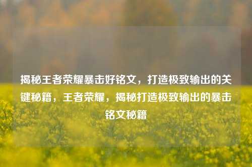 揭秘王者荣耀暴击好铭文,打造极致输出的关键秘籍,王者荣耀,揭秘打造极致输出的暴击铭文秘籍