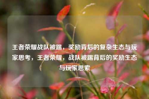 王者荣耀战队被踢，奖励背后的复杂生态与玩家思考，王者荣耀，战队被踢背后的奖励生态与玩家思索