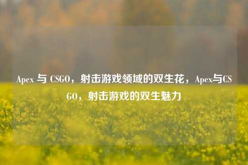 Apex 与 CSGO,射击游戏领域的双生花,Apex与CSGO,射击游戏的双生魅力