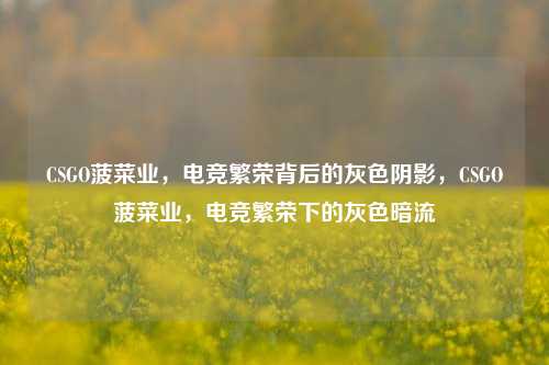 CSGO菠菜业，电竞繁荣背后的灰色阴影，CSGO菠菜业，电竞繁荣下的灰色暗流