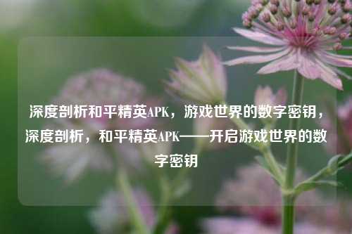 深度剖析和平精英APK，游戏世界的数字密钥，深度剖析，和平精英APK——开启游戏世界的数字密钥