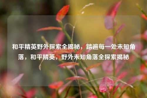 和平精英野外探索全揭秘，踏遍每一处未知角落，和平精英，野外未知角落全探索揭秘
