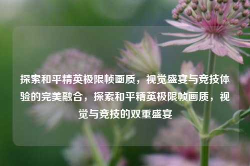 探索和平精英极限帧画质,视觉盛宴与竞技体验的完美融合,探索和平精英极限帧画质,视觉与竞技的双重盛宴