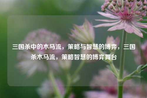 三国杀中的木马流，策略与智慧的博弈，三国杀木马流，策略智慧的博弈舞台