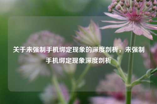 关于未强制手机绑定现象的深度剖析，未强制手机绑定现象深度剖析