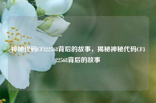 神秘代码CF322568背后的故事，揭秘神秘代码CF322568背后的故事