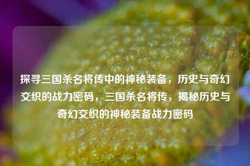 探寻三国杀名将传中的神秘装备,历史与奇幻交织的战力密码,三国杀名将传,揭秘历史与奇幻交织的神秘装备战力密码