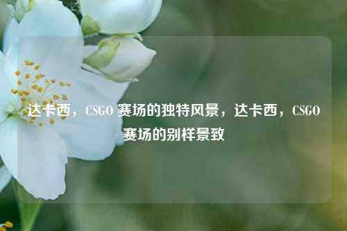 达卡西，CSGO 赛场的独特风景，达卡西，CSGO赛场的别样景致