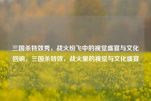 三国杀特效秀，战火纷飞中的视觉盛宴与文化回响，三国杀特效，战火里的视觉与文化盛宴
