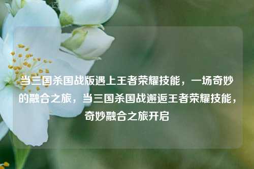 当三国杀国战版遇上王者荣耀技能，一场奇妙的融合之旅，当三国杀国战邂逅王者荣耀技能，奇妙融合之旅开启