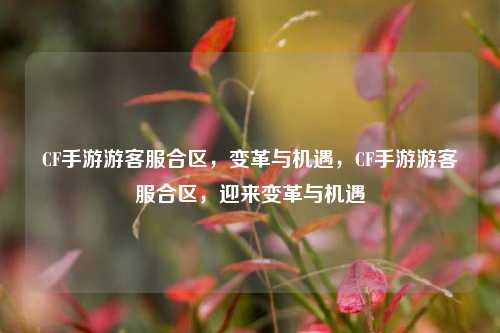CF手游游客服合区，变革与机遇，CF手游游客服合区，迎来变革与机遇