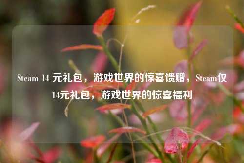 Steam 14 元礼包,游戏世界的惊喜馈赠,Steam仅14元礼包,游戏世界的惊喜福利