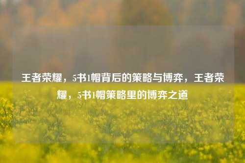 王者荣耀,5书1帽背后的策略与博弈,王者荣耀,5书1帽策略里的博弈之道