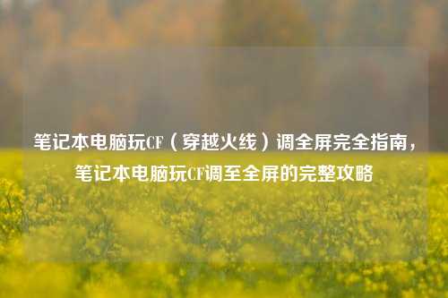 笔记本电脑玩CF(穿越火线)调全屏完全指南,笔记本电脑玩CF调至全屏的完整攻略