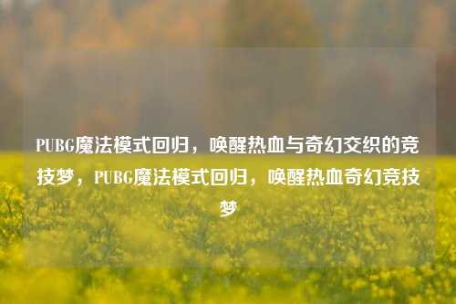 PUBG魔法模式回归，唤醒热血与奇幻交织的竞技梦，PUBG魔法模式回归，唤醒热血奇幻竞技梦