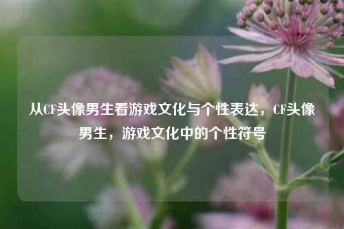 从CF头像男生看游戏文化与个性表达，CF头像男生，游戏文化中的个性符号