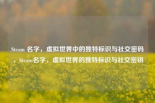 Steam 名字，虚拟世界中的独特标识与社交密码，Steam名字，虚拟世界的独特标识与社交密钥