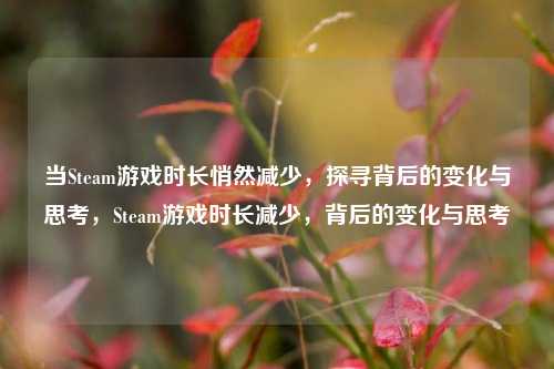 当Steam游戏时长悄然减少,探寻背后的变化与思考,Steam游戏时长减少,背后的变化与思考