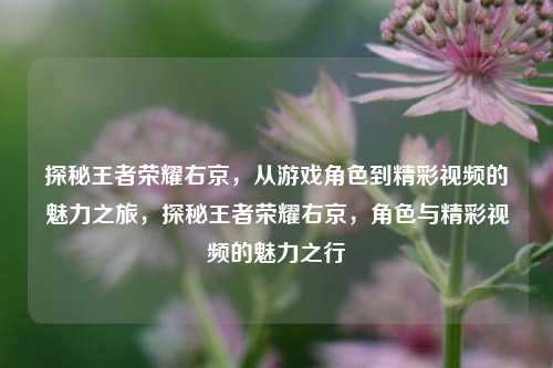 探秘王者荣耀右京,从游戏角色到精彩视频的魅力之旅,探秘王者荣耀右京,角色与精彩视频的魅力之行