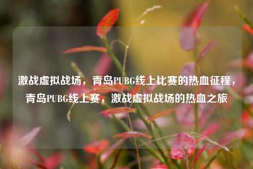 激战虚拟战场，青岛PUBG线上比赛的热血征程，青岛PUBG线上赛，激战虚拟战场的热血之旅