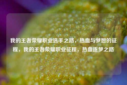 我的王者荣耀职业选手之路,热血与梦想的征程,我的王者荣耀职业征程,热血逐梦之路