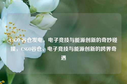 CSGO 谷仓发电,电子竞技与能源创新的奇妙碰撞,CSGO谷仓,电子竞技与能源创新的跨界奇遇