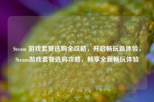Steam 游戏套餐选购全攻略，开启畅玩新体验，Steam游戏套餐选购攻略，畅享全新畅玩体验