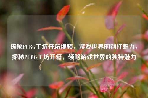 探秘PUBG工坊开箱视频,游戏世界的别样魅力,探秘PUBG工坊开箱,领略游戏世界的独特魅力